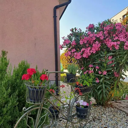 Rosse * Porec